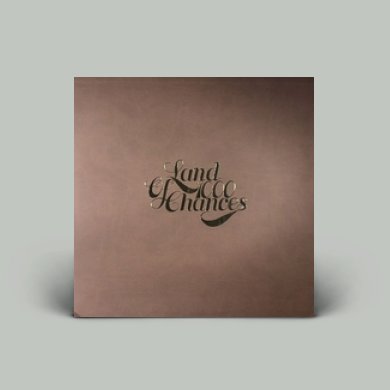 USオリジナル LAND OF 1000 CHANCES DJ DAY レコード DJ Day - Land of 1000 Chances | NEWTONE RECORDS