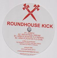 Roundhouse Kick - ARM1X : 12inch