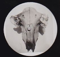 Session Victim / Medlar / Squarehead / Ishmael - WOLFEP018 : 12inch