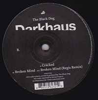 The Black Dog - Darkhaus Vol. 02 : 12inch