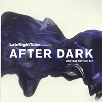 Various - AFTER DARK SAMPLER : 12inch