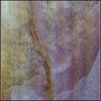 Akron/Family - Sub Verses : CD