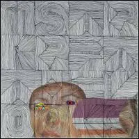 Mstrkrft - The Looks : 2LP