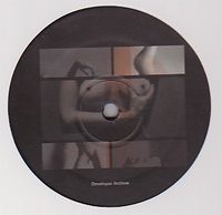 Developer - Archive 4 : 12inch