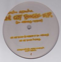 Ricardo Miranda - Chi City Boogie EP (A Tribute To Boo Williams) : 12inch