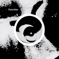 Function - Gradient Ep : 12inch
