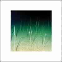 Mike Weis - Loop Current /Raft