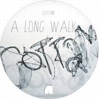 Cottam - The Long Walk / The Other World : 12inch