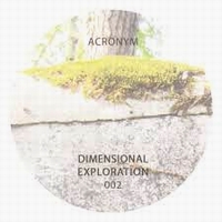 Acronym - Dimensional Exploration 002 : 12inch
