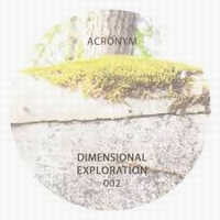 Acronym - Dimensional Exploration 002