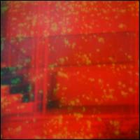 Nicholas Bullen - COMPONENT FIXATIONS