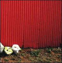 Tildaflipers - Encuentra Al Mostro Sinvergüenza En La Selva De Fiascos : LP