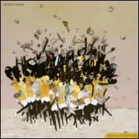 Rainbow Arabia - Boys And Diamonds : LP