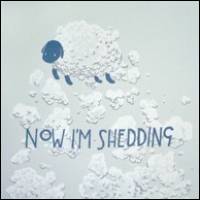 Shedding - Now I’m Shedding : 12inch
