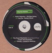 Various - City Fly Visions Vol.2 : 12inch