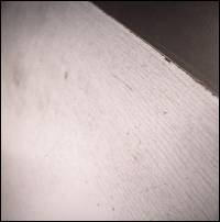 Pendle Coven - £100 A Metre EP : 12inch