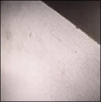 Pendle Coven - £100 A Metre EP : 12inch