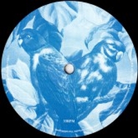 Moire Patterns - Warning Parrots / Lofty Principle : 12inch