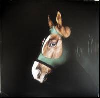 Pluramon - Dreams Top Rock : LP