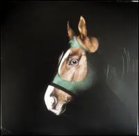 Pluramon - Dreams Top Rock : LP