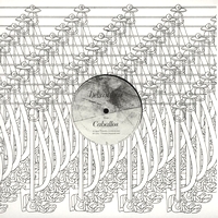 Fango - CABALLOS : 12inch