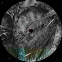 CIRCUIT, BURNS &amp; HAWK - From The Legal Pad Of… : 12inch