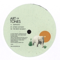 Art Of Tones - Elephants & Flies : 12inch