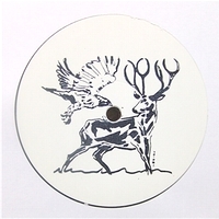 Torn Hawk / Black Deer - Born To Win (Life After Ghostbusters) / Apex Break : 12inch