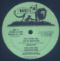 Horace Andy, Wackies Rhythm Force - Just My Imagination / Imagination Rock : 12inch