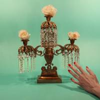 Tropic Of Cancer - S/T