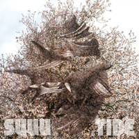 White Collar Boy - SUUU / Tide