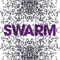 New York Transit Authority - Swarm : 12inch