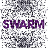 New York Transit Authority - Swarm