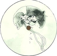 Tapirus - Trying to Make Something of Life : 12inch