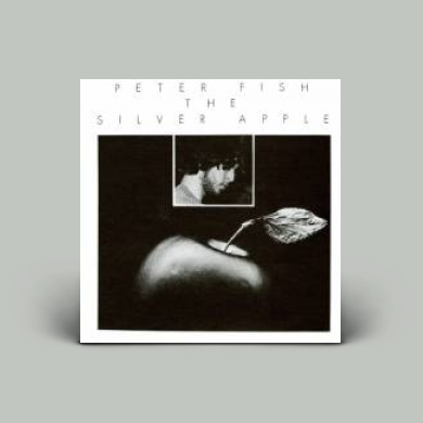 Peter Fish The Silver Apple LPオリジナル Peter Fish - The Silver Apple | NEWTONE RECORDS