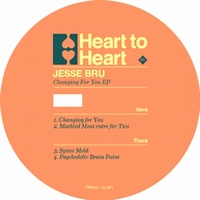 Jesse Bru - Changing for You : 12inch