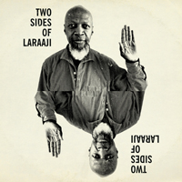 Laraaji / Laraaji With Audio Active - Two Sides Of Laraaji