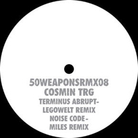 Cosmin Trg - Terminus Abrupt (Legowelt Remix)