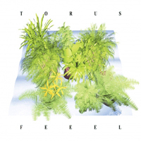 Torus - Feeel