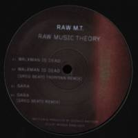 Raw M.T. - Raw Music Theory : 12inch