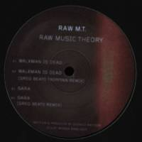 Raw M.T. - Raw Music Theory