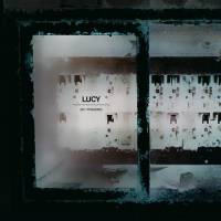 Lucy - 201 Phasing