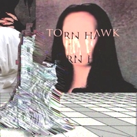 Torn Hawk - We Burnt Time : 12inch