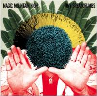 Magic Mountain High - Burnt Breadcrumbs EP : 12inch