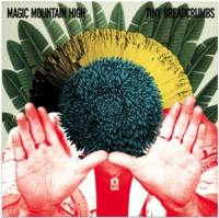 Magic Mountain High - Burnt Breadcrumbs EP