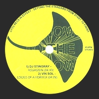 DJ Stingray / Vin Sol - Assassin/Edges of a Vortex : 12inch