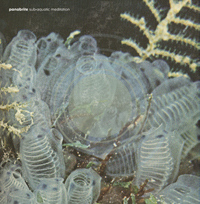 Panabrite - Sub-Aquatic Meditation