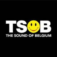 Various - VA The Sound of Belgium Vinyl Sampler 2/10 : 12inch