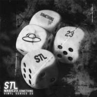 Stl - Something Vinyl Series 23