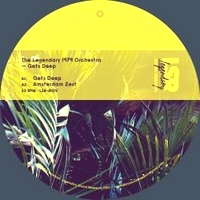 The Legendary 1979 Orchestra - Gets Deep : 12inch